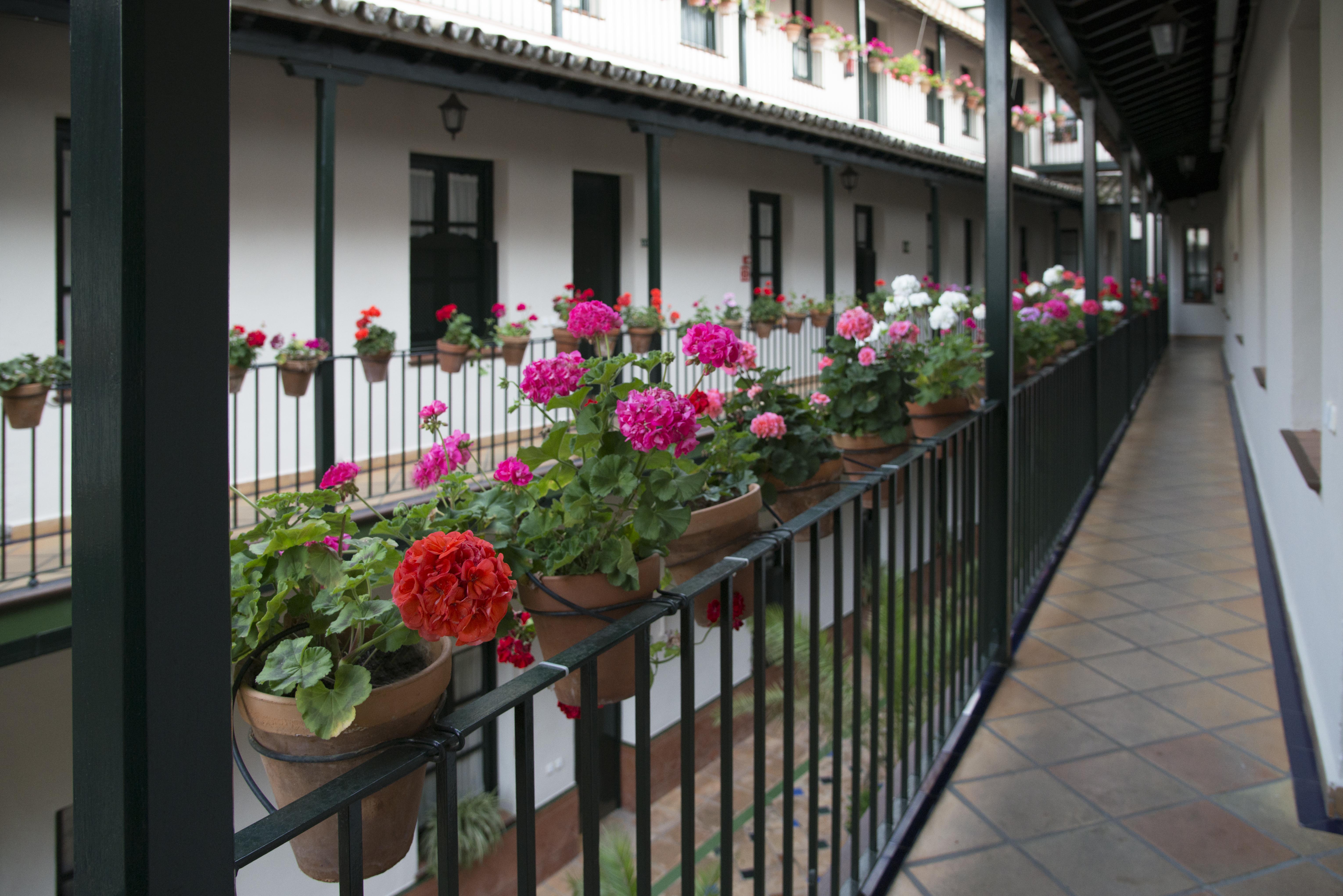 Corral de los Chícharos Sevilha Exterior foto